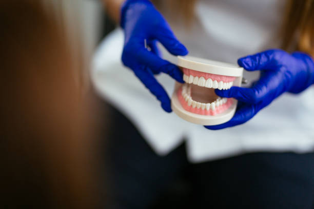 Professional Holistic Dental Care Services in Corry, PA